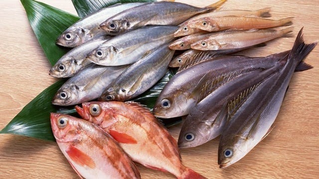 Top 4 loại c&aacute; "ngậm" nhiều thủy ng&acirc;n bậc nhất - Ảnh 3.