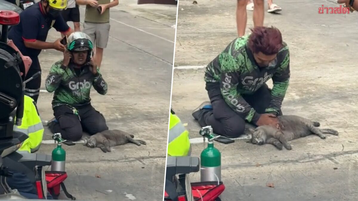 Nam shipper dũng cảm cứu m&egrave;o trong vụ ch&aacute;y chung cư g&acirc;y sốt mạng x&atilde; hội - Ảnh 1.