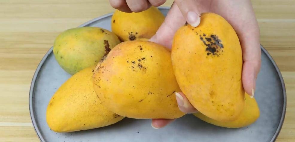 Mẹo mua xoài chín cây không bị người bán qua mặt - Ảnh 1. Mẹo mua xoài chín cây không bị người bán qua mặt - Ảnh 1.