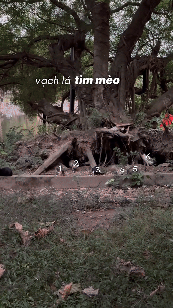 Hòn đảo nằm ngay trung tâm Hà Nội nhưng nhiều người không hề biết: Có tên gọi và câu chuyện đặc biệt - Ảnh 1.