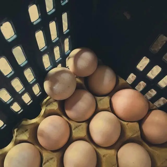 Ra chợ mua trứng gặp 3 loại n&agrave;y, ngon rẻ mấy cũng đừng mua- Ảnh 2.