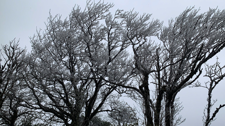 Băng giá phủ trắng đỉnh Phia Oắc ở Cao Bằng gây xôn xao du khách miền Bắc - Ảnh 1.