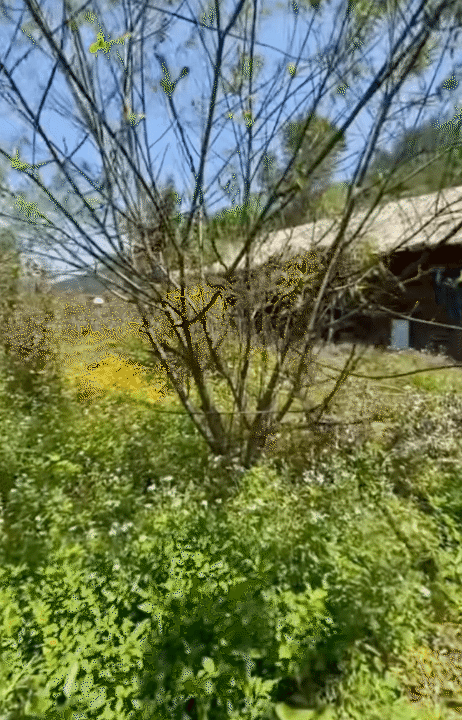 30 tuổi, rời H&agrave; Nội sau 10 năm sinh sống, l&ecirc;n n&uacute;i l&agrave;m vườn, dựng nh&agrave; sống chill: Chi ph&iacute; sinh hoạt c&ograve;n 1/3 nhưng c&aacute;i gi&aacute; t&ocirc;i phải trả cũng kh&ocirc;ng hề đơn giản- Ảnh 5.