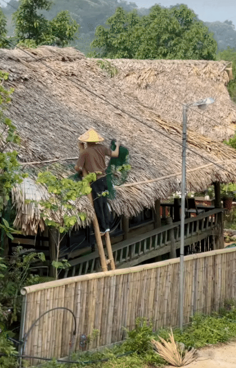 30 tuổi, rời H&agrave; Nội sau 10 năm sinh sống, l&ecirc;n n&uacute;i l&agrave;m vườn, dựng nh&agrave; sống chill: Chi ph&iacute; sinh hoạt c&ograve;n 1/3 nhưng c&aacute;i gi&aacute; t&ocirc;i phải trả cũng kh&ocirc;ng hề đơn giản- Ảnh 8.