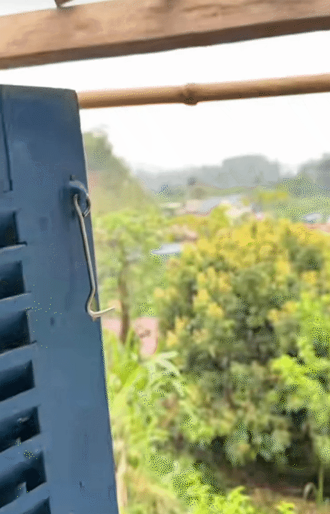 30 tuổi, rời H&agrave; Nội sau 10 năm sinh sống, l&ecirc;n n&uacute;i l&agrave;m vườn, dựng nh&agrave; sống chill: Chi ph&iacute; sinh hoạt c&ograve;n 1/3 nhưng c&aacute;i gi&aacute; t&ocirc;i phải trả cũng kh&ocirc;ng hề đơn giản- Ảnh 17.