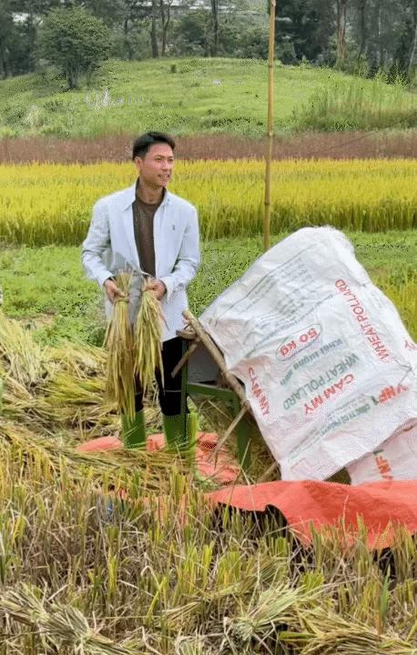 30 tuổi, rời H&agrave; Nội sau 10 năm sinh sống, l&ecirc;n n&uacute;i l&agrave;m vườn, dựng nh&agrave; sống chill: Chi ph&iacute; sinh hoạt c&ograve;n 1/3 nhưng c&aacute;i gi&aacute; t&ocirc;i phải trả cũng kh&ocirc;ng hề đơn giản- Ảnh 2.