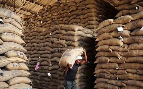 Ấn Độ vượt Trung Quốc trở th&agrave;nh nh&agrave; sản xuất gạo lớn nhất thế giới - Ảnh 1.