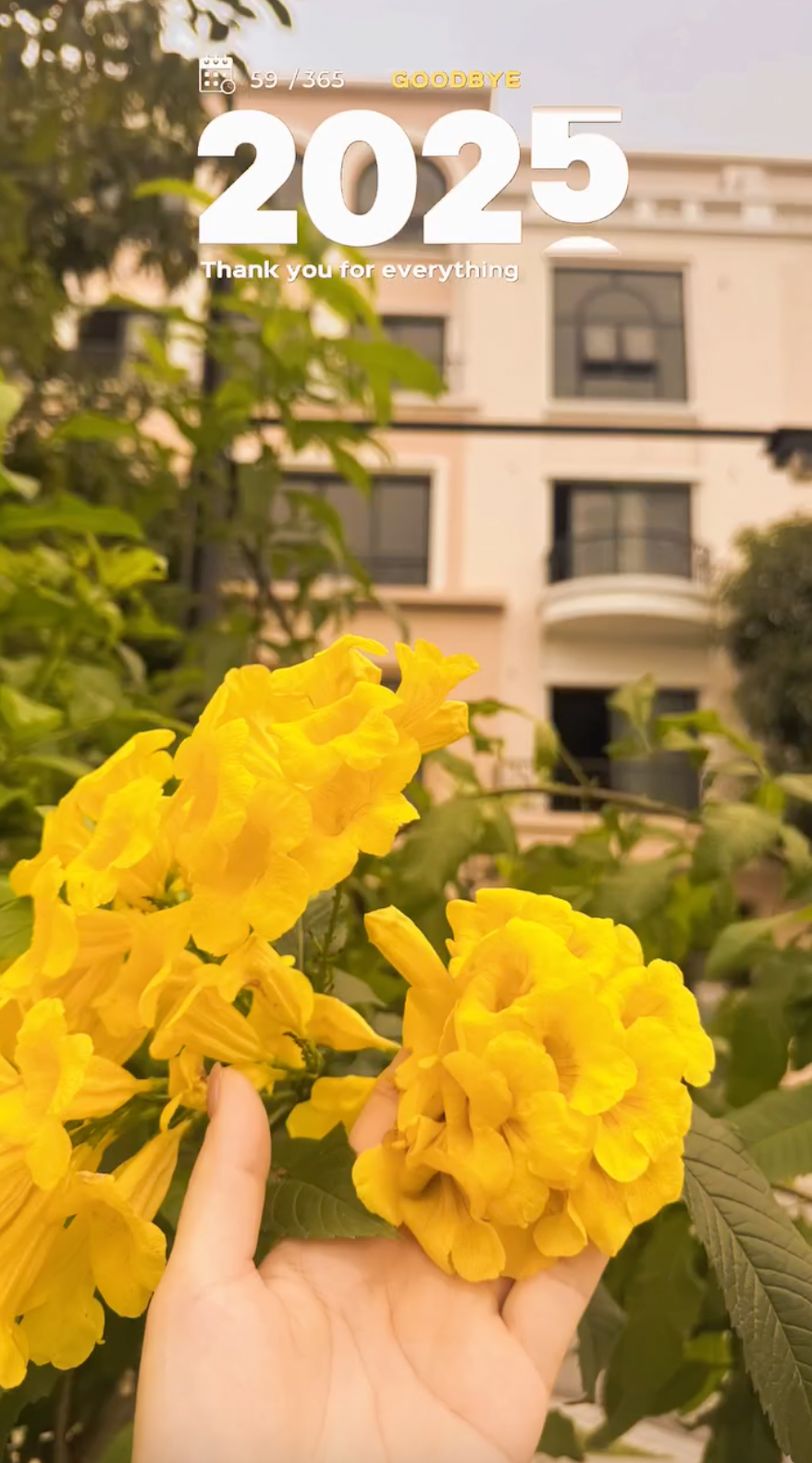 Tuyển thủ Việt Nam mở m&agrave;n 2026 mỹ m&atilde;n: X&acirc;y biệt thự mấy chục tỷ, đ&oacute;n con g&aacute;i cưng ch&agrave;o đời- Ảnh 7.