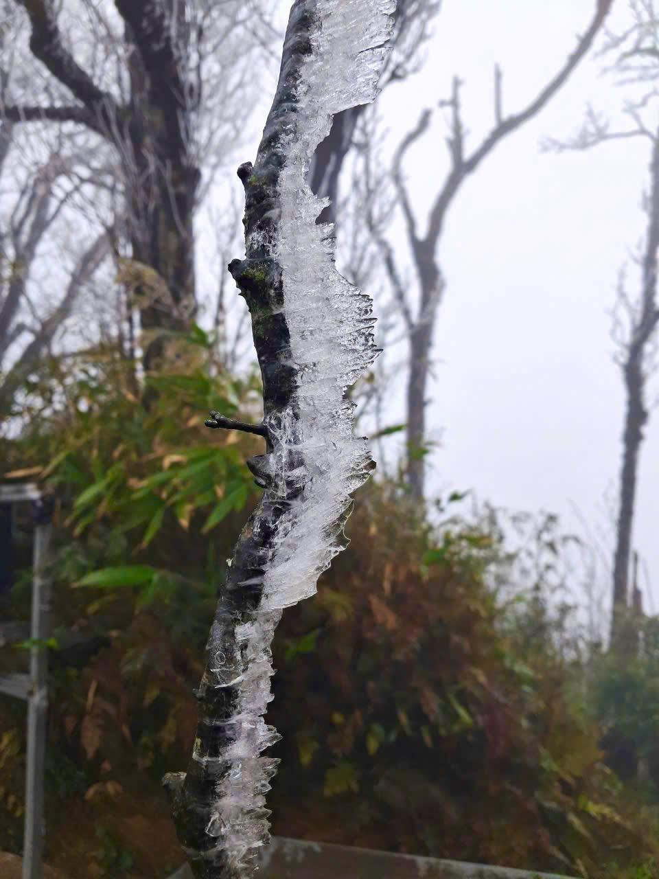Ngoài Fansipan, Mẫu Sơn, nơi này cũng có băng giá dày đặc: Độ cao gần 2000m, cách Hà Nội hơn 200km - Ảnh 2.