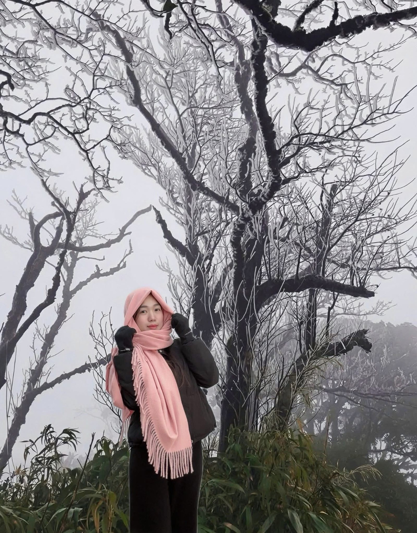 Ngoài Fansipan, Mẫu Sơn, nơi này cũng có băng giá dày đặc: Độ cao gần 2000m, cách Hà Nội hơn 200km - Ảnh 9.