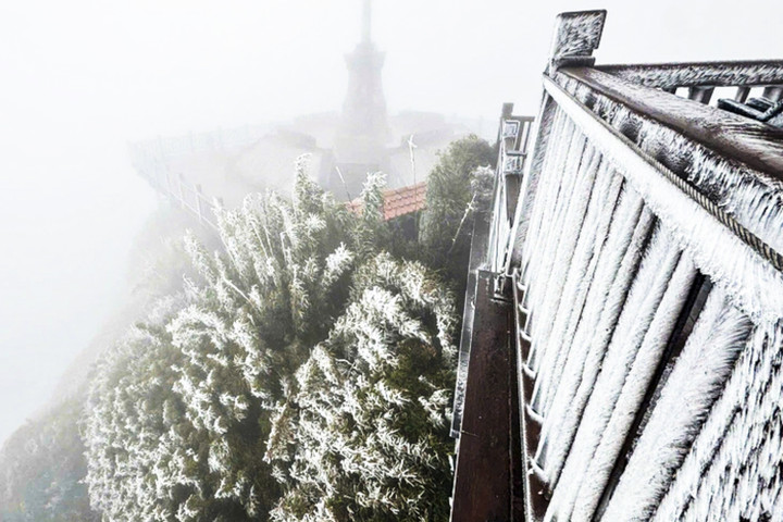 Băng gi&aacute; Fansipan rạng s&aacute;ng 7 / 1 xuống - 3 &deg; C , m&ugrave;a đ&ocirc;ng khắc nghiệt đầu ti&ecirc;n năm 2026 - Ảnh 2.