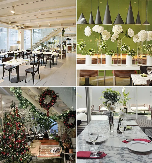 - Ảnh 2. - Ảnh 2.