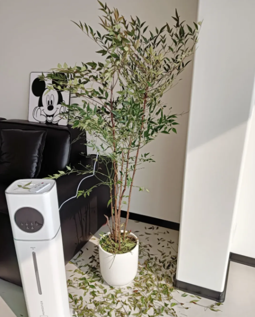 Buông bỏ là thượng sách: Tôi da diết khuyên bạn thẳng tay vứt 8 món "rác nhà" này - Ảnh 2. Buông bỏ là thượng sách: Tôi da diết khuyên bạn thẳng tay vứt 8 món "rác nhà" này - Ảnh 2.