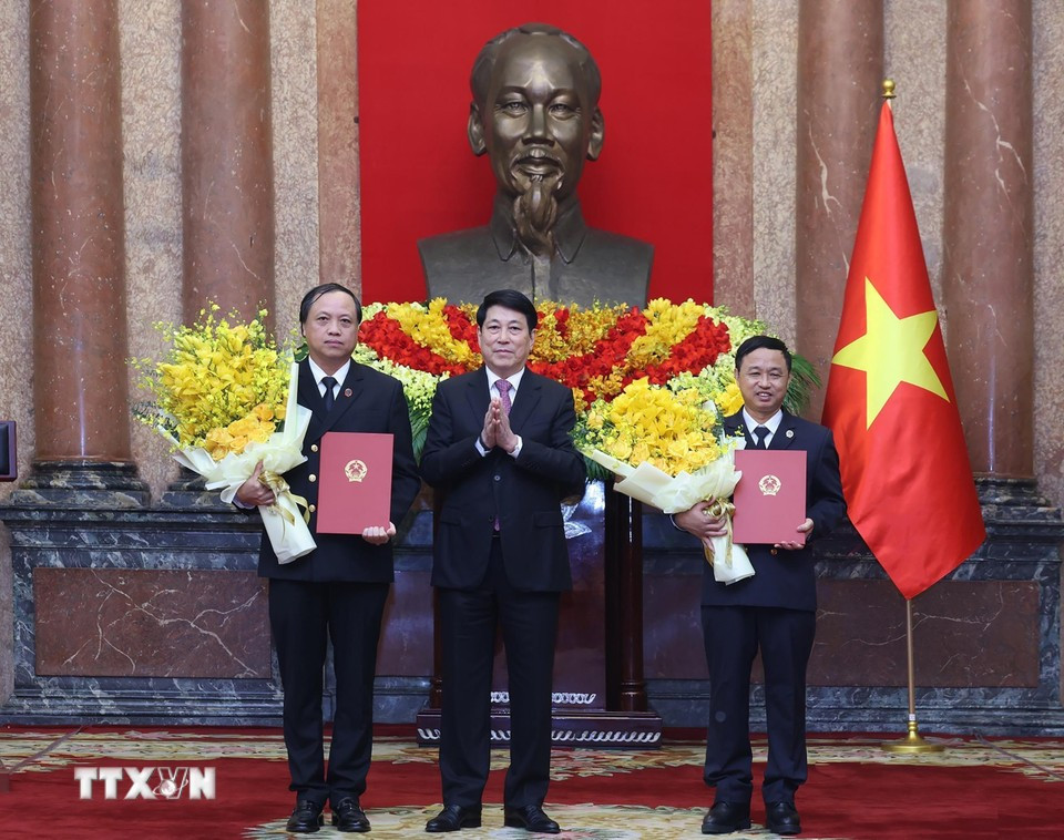 Chủ tịch nước trao quyết định bổ nhiệm Ph&oacute; Ch&aacute;nh &aacute;n t&ograve;a &aacute;n nh&acirc;n d&acirc;n Tối cao - Ảnh 1.