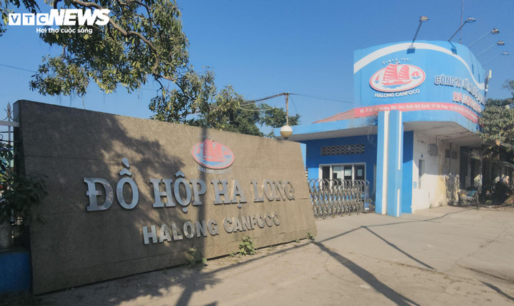 130 Tấn thịt lợn bệnh v&agrave; vụ &aacute;n Đồ hộp Hạ Long: Quảng Ninh l&ecirc;n tiếng - Ảnh 3.