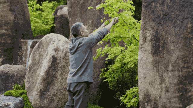 - Ảnh 9. - Ảnh 9.