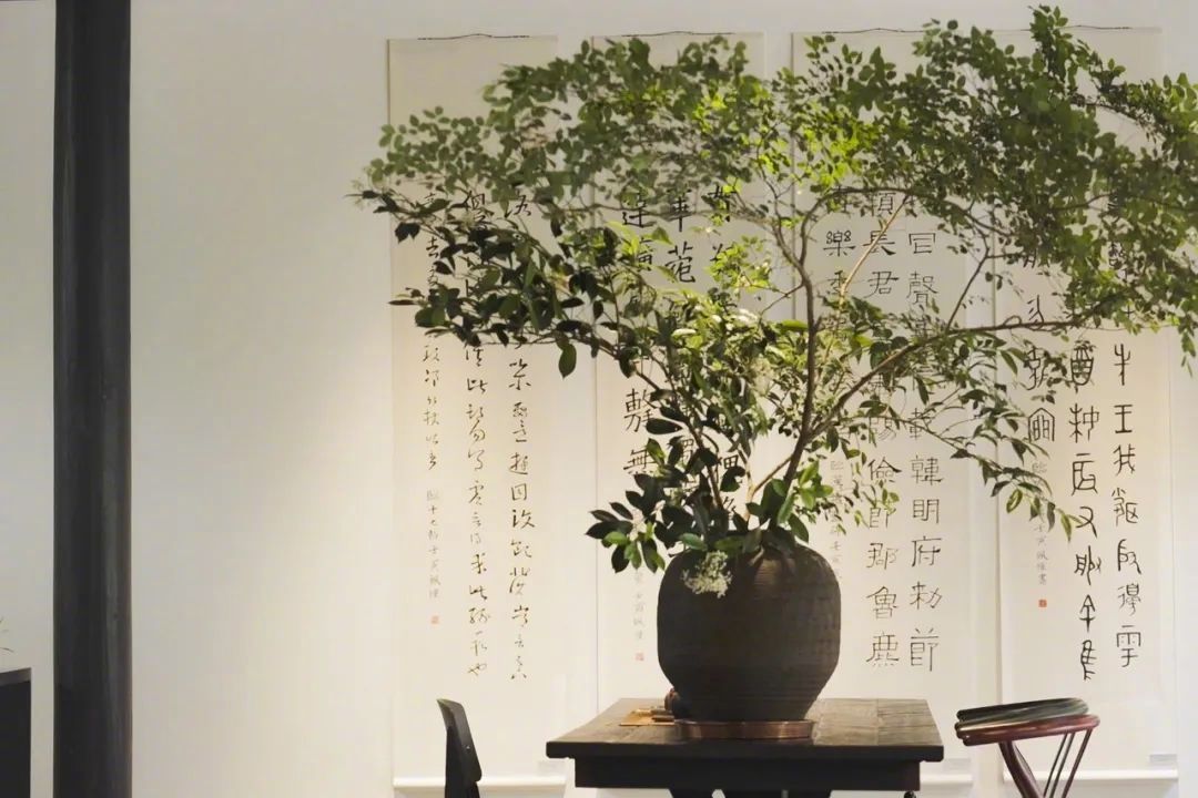 - Ảnh 17. - Ảnh 17.