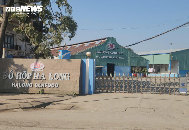 130 Tấn thịt lợn bệnh v&agrave; vụ &aacute;n Đồ hộp Hạ Long: Quảng Ninh l&ecirc;n tiếng - Ảnh 1.