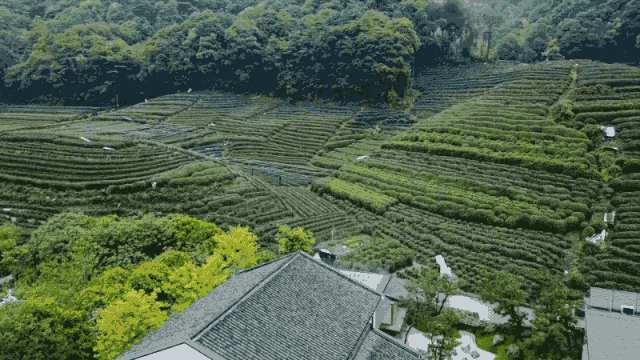 - Ảnh 5. - Ảnh 5.