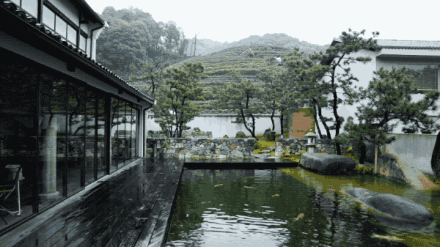 - Ảnh 2. - Ảnh 2.