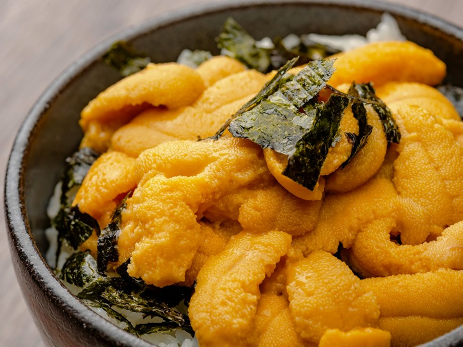 Sinh Vật Duy Nhất Trên Trái Đất 