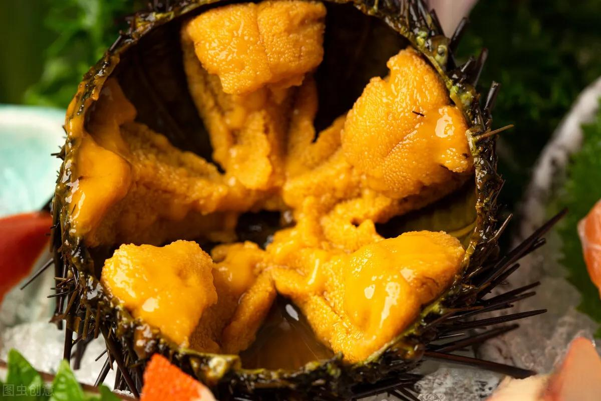 Sinh Vật Duy Nhất Trên Trái Đất 