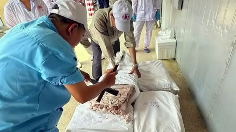 Thủ đoạn biến thịt lợn nhiễm bệnh th&agrave;nh thịt hộp tại Hải Ph&ograve;ng bị phanh phui - Ảnh 3.