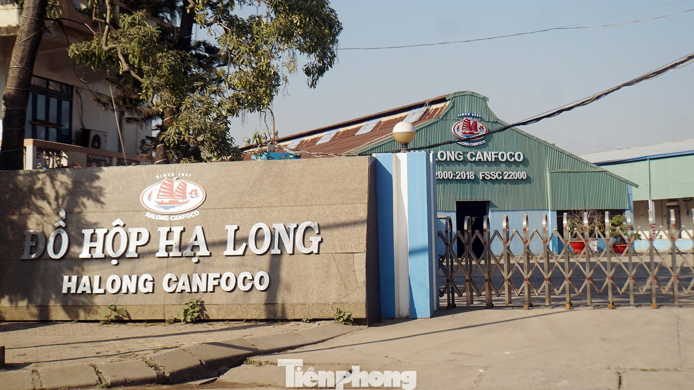 Thủ đoạn biến thịt lợn nhiễm bệnh th&agrave;nh thịt hộp tại Hải Ph&ograve;ng bị phanh phui - Ảnh 1.