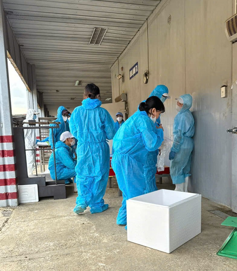 5 1767961645386 1767961645771559060782