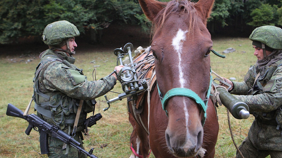 C&ocirc;ng nghệ Starlink tr&ecirc;n lưng ngựa: Kết nối Internet đột ph&aacute; tr&ecirc;n chiến trường - Ảnh 1.