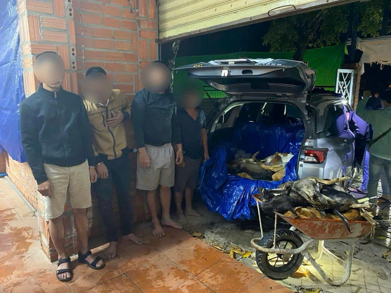 Sốc với quy m&ocirc; đường d&acirc;y trộm cắp ch&oacute; tại T&acirc;y Ninh bị triệt ph&aacute; - Ảnh 2.