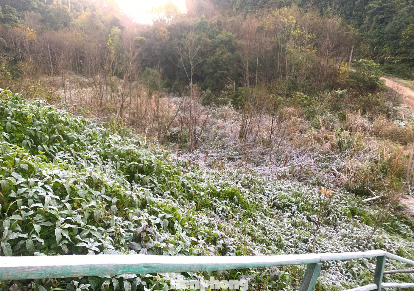 Ngoài Fansipan, Mẫu Sơn, hôm nay băng giá xuất hiện ở cả điểm miền Trung này - Ảnh 3.