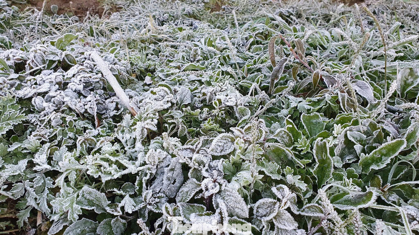 Ngoài Fansipan, Mẫu Sơn, hôm nay băng giá xuất hiện ở cả điểm miền Trung này - Ảnh 2.