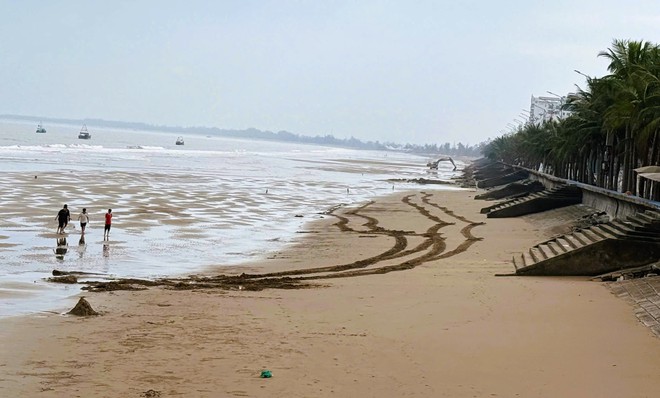 - Ảnh 1. - Ảnh 1.