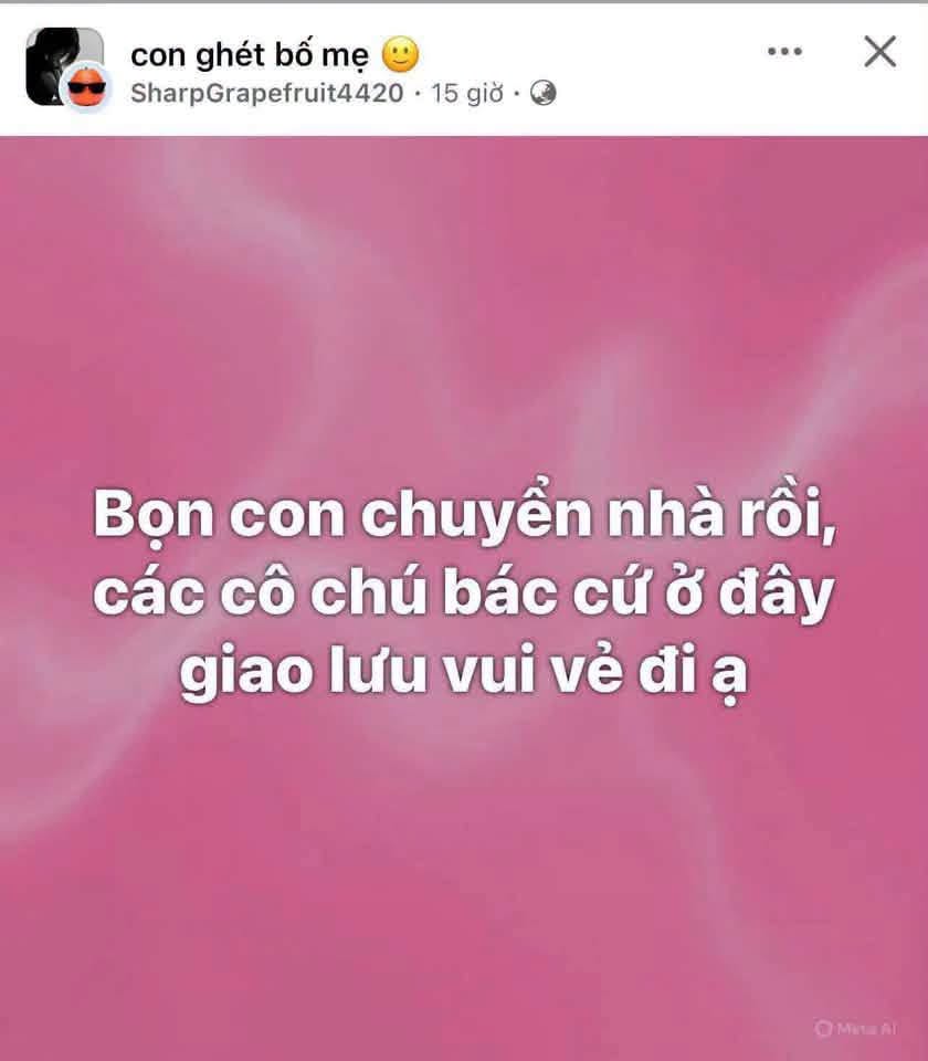  - Ảnh 1.