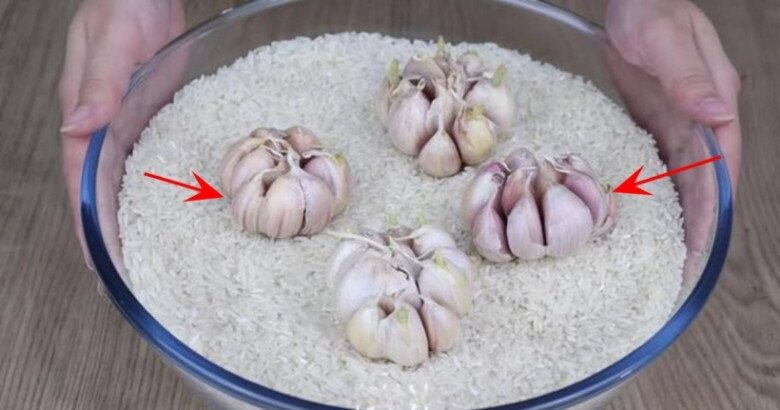 Ngăn ngừa côn trùng xâm nhập vào thùng gạo bằng những thứ sau - Ảnh 3. Ngăn ngừa côn trùng xâm nhập vào thùng gạo bằng những thứ sau - Ảnh 3.