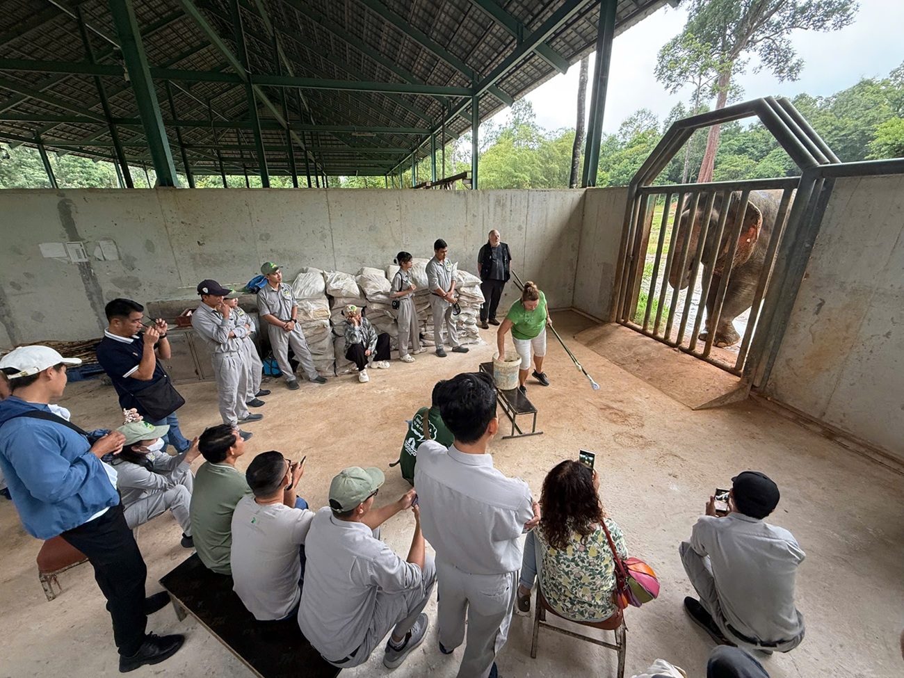 Vinpearl Safari: Hành trình hơn một thập kỷ vươn tầm bảo tồn quốc tế - Ảnh 7. Vinpearl Safari: Hành trình hơn một thập kỷ vươn tầm bảo tồn quốc tế - Ảnh 7.