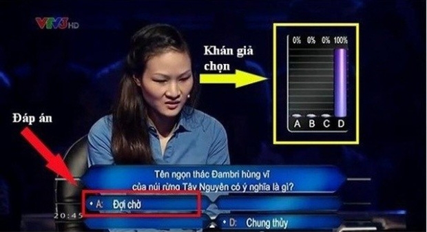  - Ảnh 3.