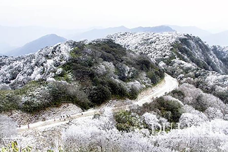 Gallery - Phát hiện đỉnh núi cao 1.931 m ở Việt Nam, từng lạnh -9°C, mùa đông phủ băng trắng đẹp như châu Âu - image 4