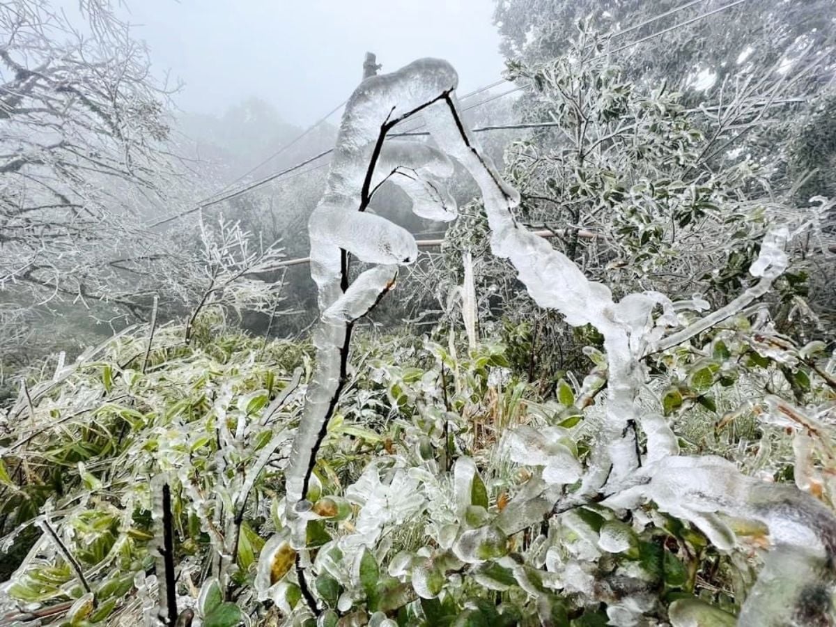 Gallery - Phát hiện đỉnh núi cao 1.931 m ở Việt Nam, từng lạnh -9°C, mùa đông phủ băng trắng đẹp như châu Âu - image 5