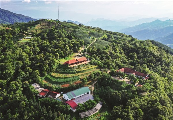 Phát hiện đỉnh núi cao 1.931 m ở Việt Nam, từng lạnh -9°C, mùa đông phủ băng trắng đẹp như châu Âu - Ảnh 4.