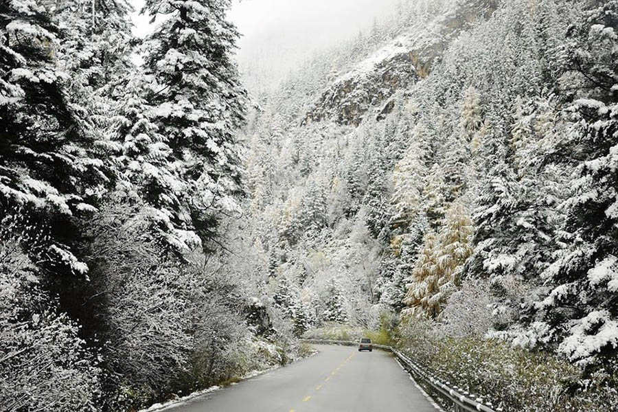 Gallery - Phát hiện đỉnh núi cao 1.931 m ở Việt Nam, từng lạnh -9°C, mùa đông phủ băng trắng đẹp như châu Âu - image 7