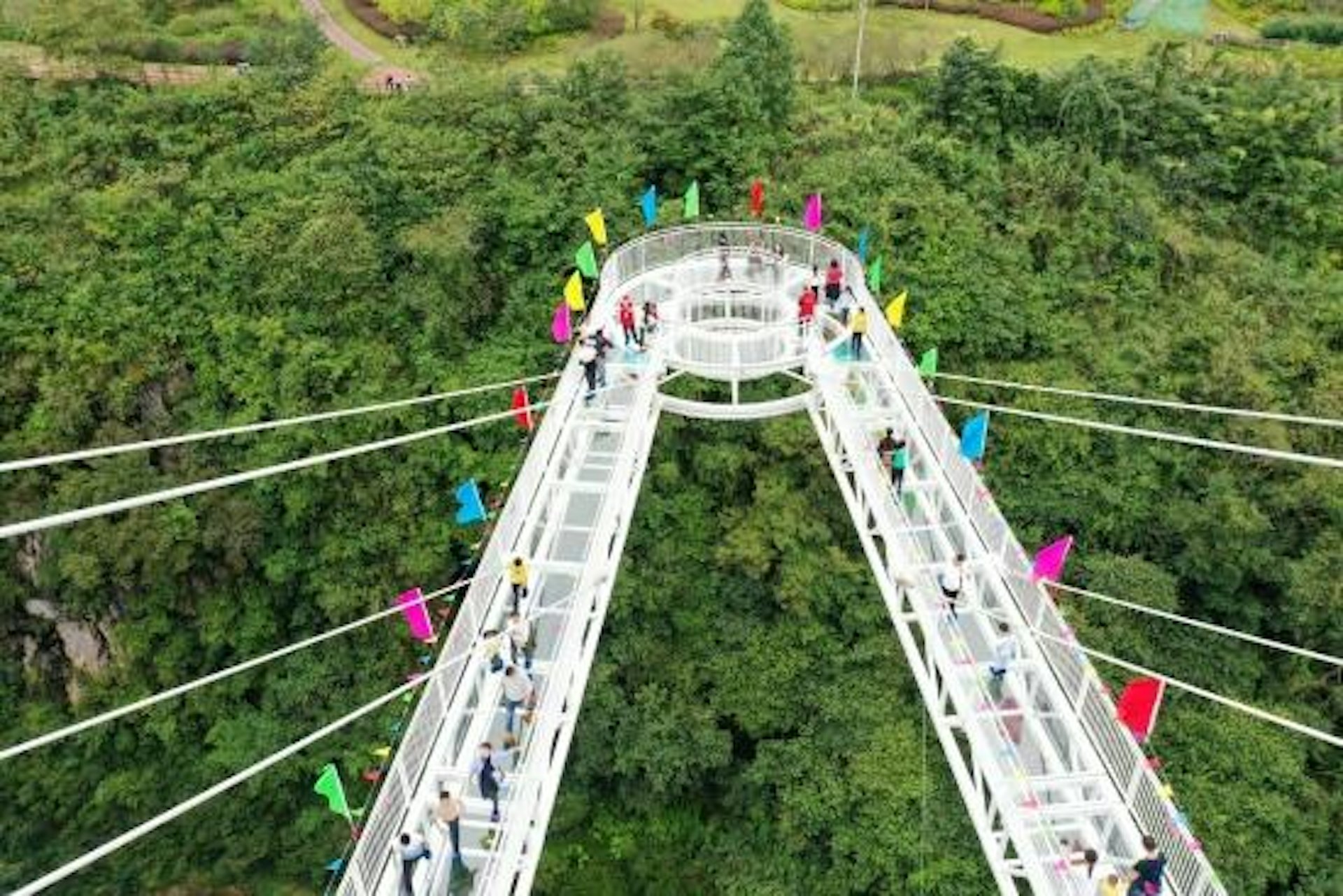 Gallery - Đang đi trên cầu kính tại khu du lịch nổi tiếng, một người phát hiện 3 điểm khác lạ: Chính quyền vào cuộc