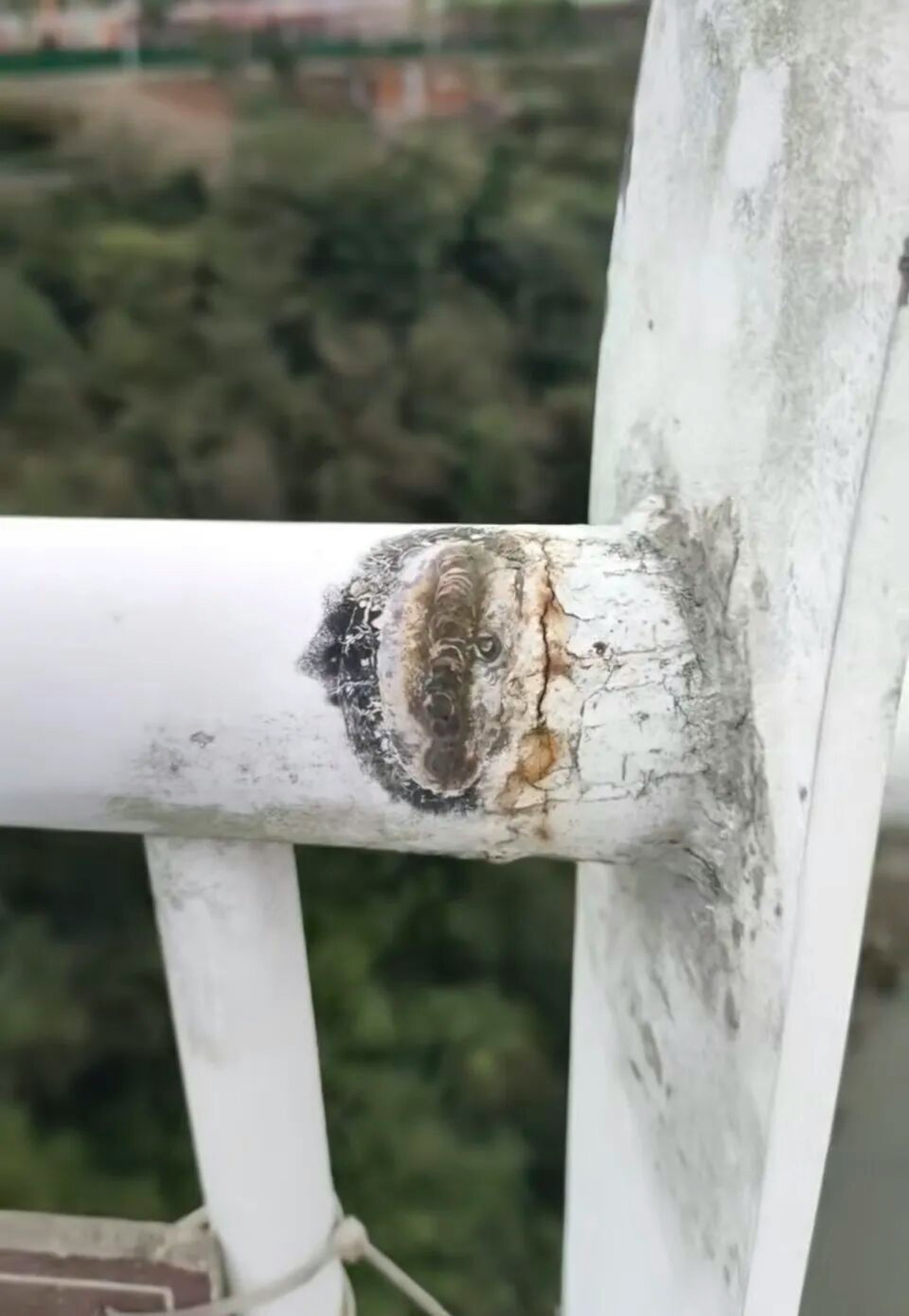 Gallery - Đang đi trên cầu kính tại khu du lịch nổi tiếng, một người phát hiện 3 điểm khác lạ: Chính quyền vào cuộc - image 1