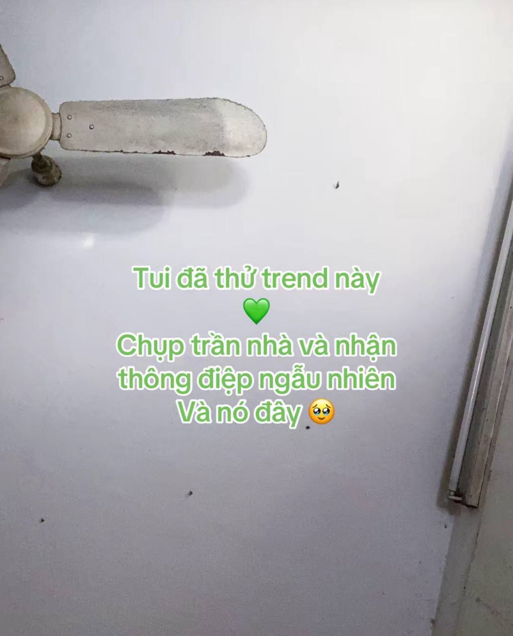 Chụp ảnh trần nh&agrave; nhận th&ocirc;ng điệp từ vũ trụ: Trend g&acirc;y sốt trong năm 2026 - Ảnh 3.