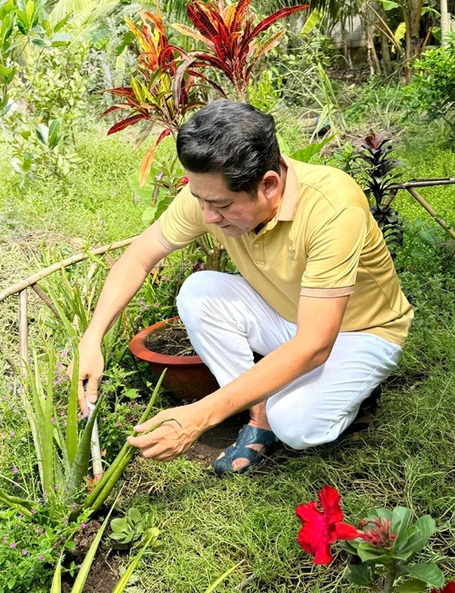 Bỏ phố về vườn mỗi khi rảnh,