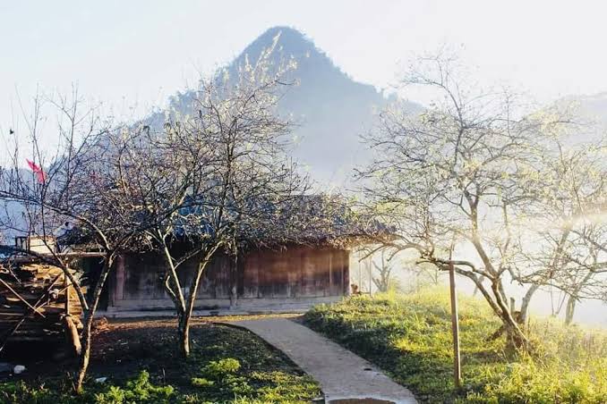Phát hiện vùng đất miền Trung từng lạnh -8°C, tuyết phủ trắng khiến nhiều người ngỡ lạc vào rừng Bắc Âu - Ảnh 5.