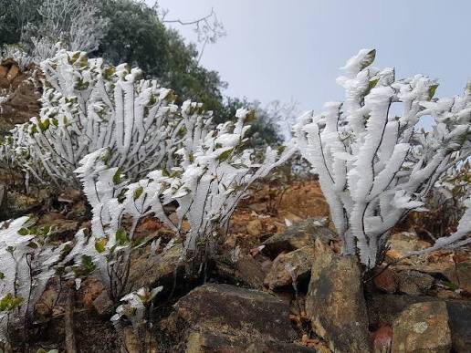 Phát hiện vùng đất miền Trung từng lạnh -8°C, tuyết phủ trắng khiến nhiều người ngỡ lạc vào rừng Bắc Âu - Ảnh 2.