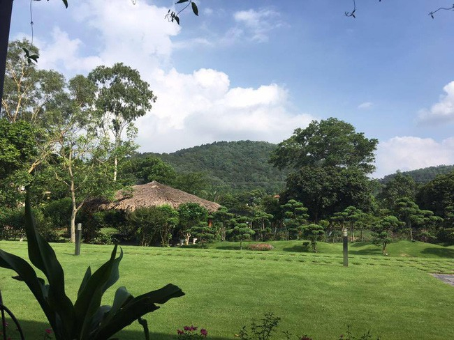 Mỹ Linh sống trong biệt phủ 1 , 2 h&eacute;cta như chốn bồng lai ở H&agrave; Nội - Ảnh 7.