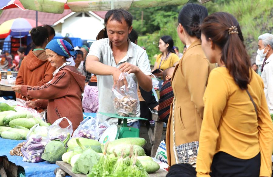 Phát hiện vùng đất miền Trung từng lạnh -8°C, tuyết phủ trắng khiến nhiều người ngỡ lạc vào rừng Bắc Âu - Ảnh 8.